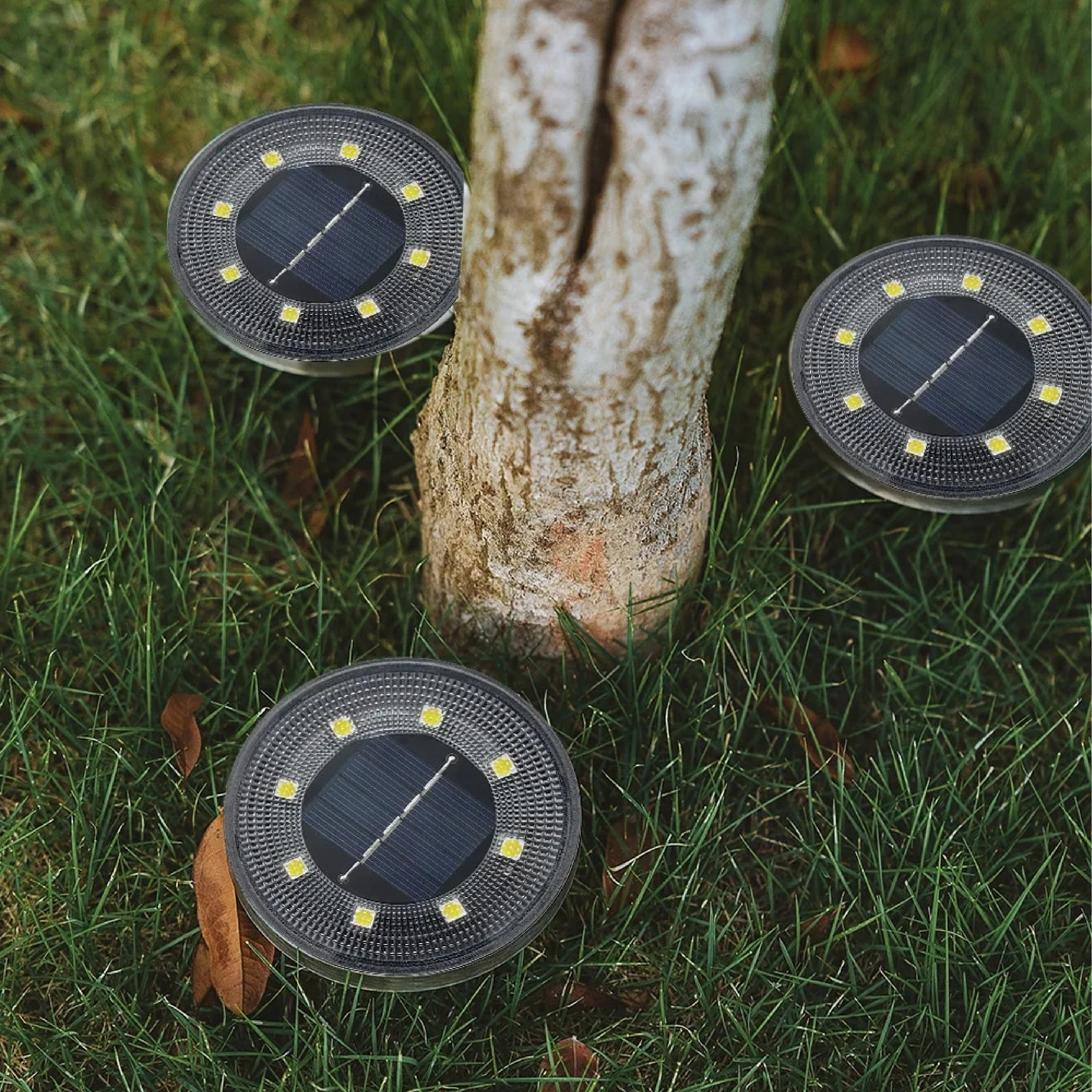 Solar Garden Lights - Waterproof Outdoor LED Lighting for Eco-Friendly Illumination