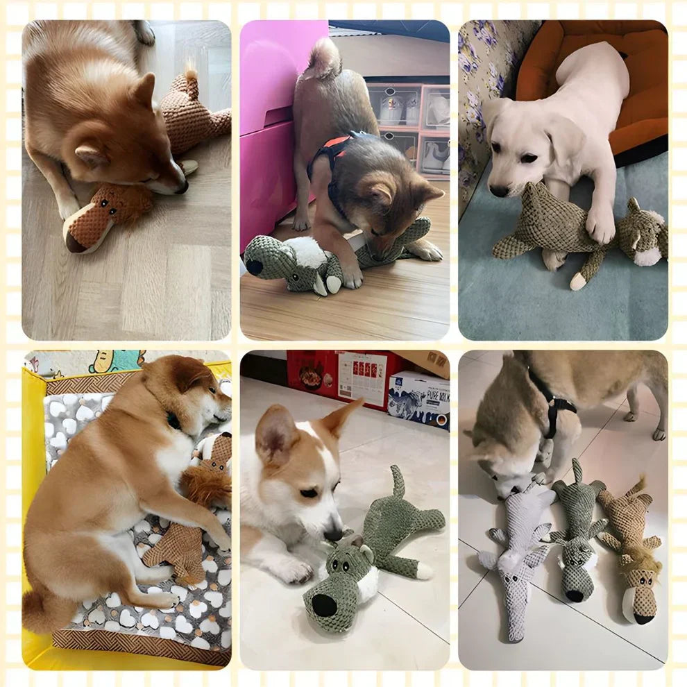 ChewBuddy™ Hundespielzeug – Robustes Quietschspielzeug für starke Kauer | Langlebiges Gummi & Zahnpflege