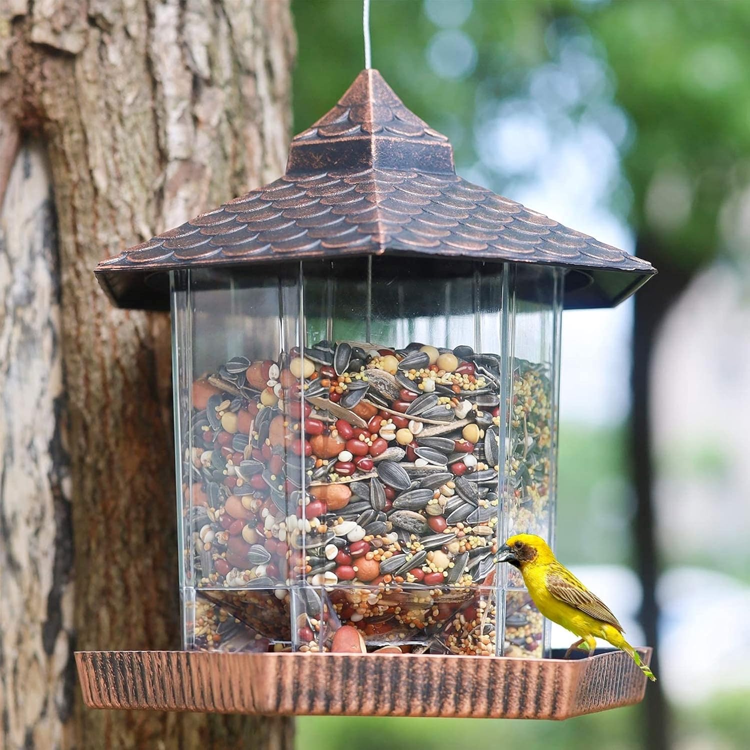 EcoHaven™ Hängender Vogelfutterspender – Robuster Vogelfutterautomat mit Kupferdach für Garten & Balkon