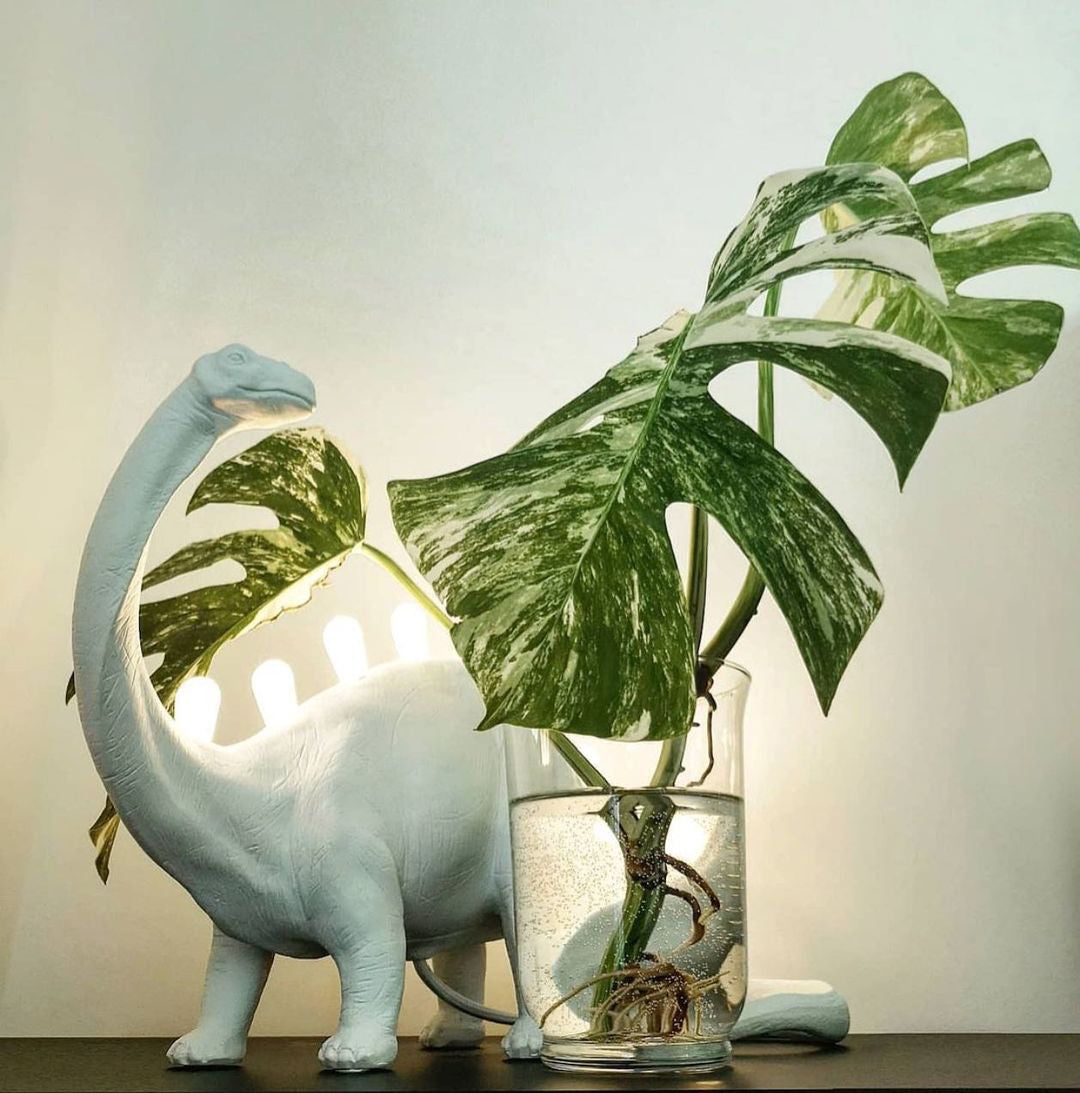 DinoLite™ Tischlampe – Kreative Design-Lampe mit beleuchtetem Dinosaurier-Rücken